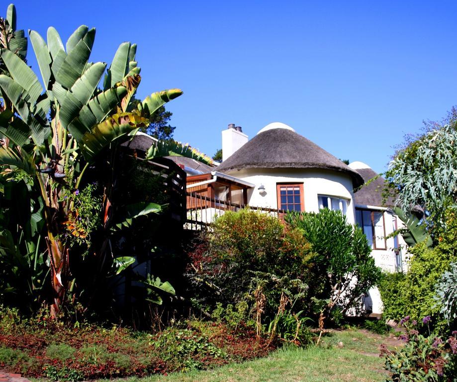 Badger'S Lodge Knysna Kültér fotó